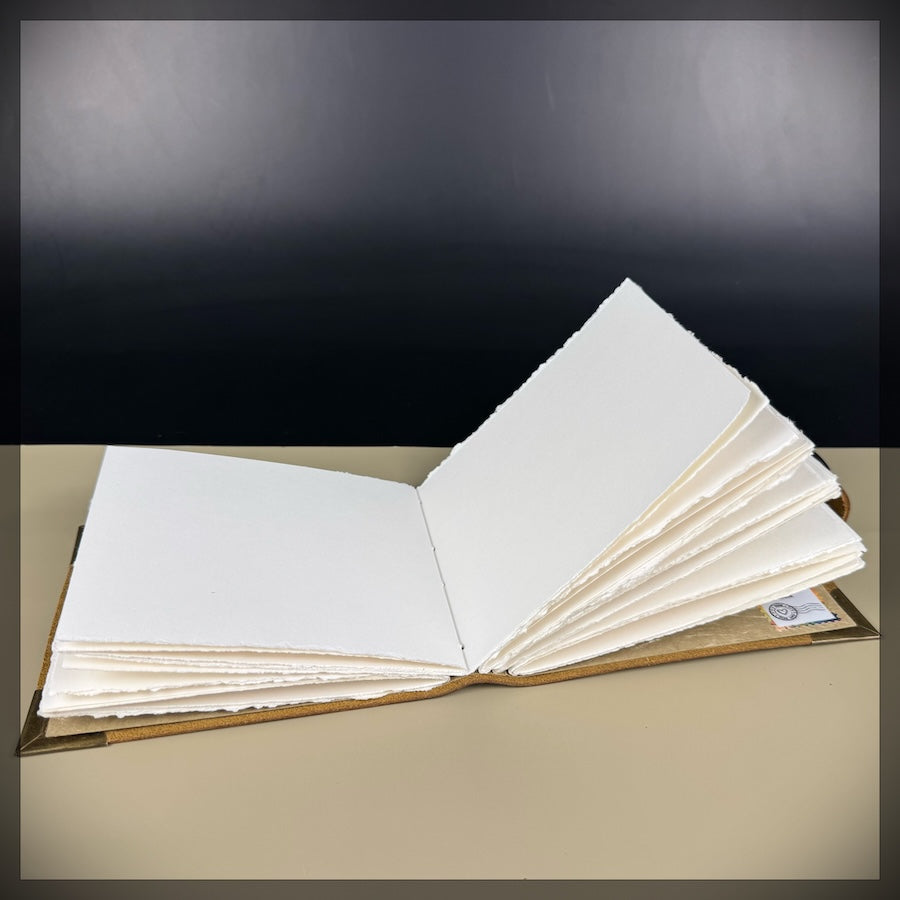 Chip on the Shoulder