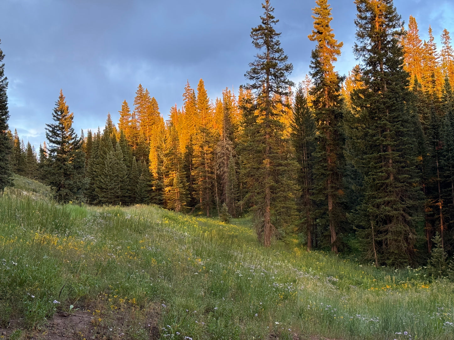 Colorado