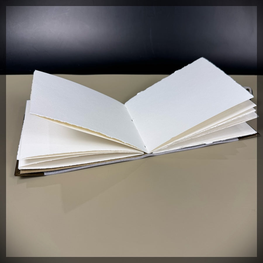 World Map Journal